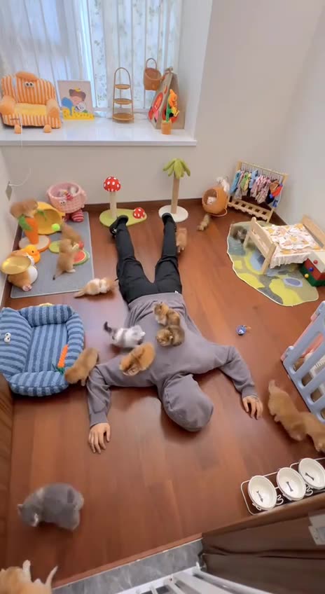 Over dosed on kittens