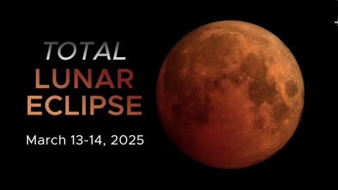 EINSTEIN YOU LITTLE DEVIL! TIME TRAVELER-POPE PORTAL 88 88-MARCH 14-15 PURIM BLOOD MOON