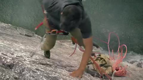 The Untamed Starts With a Cliffhanger | Best Drama Opening Scene