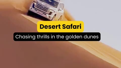 5 days Dubai festival package !