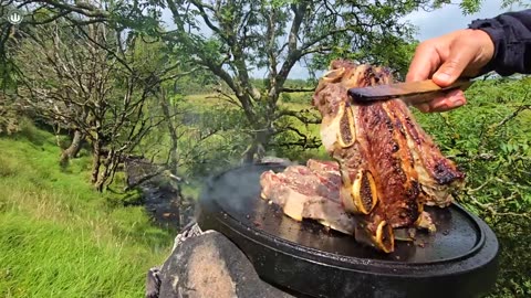 Juicy Short Rib Steaks Over Campfire | Relaxing Outdoor ASMR Cooking