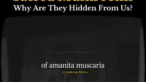 What are sacred mushrooms? Why are they hidden from the people?