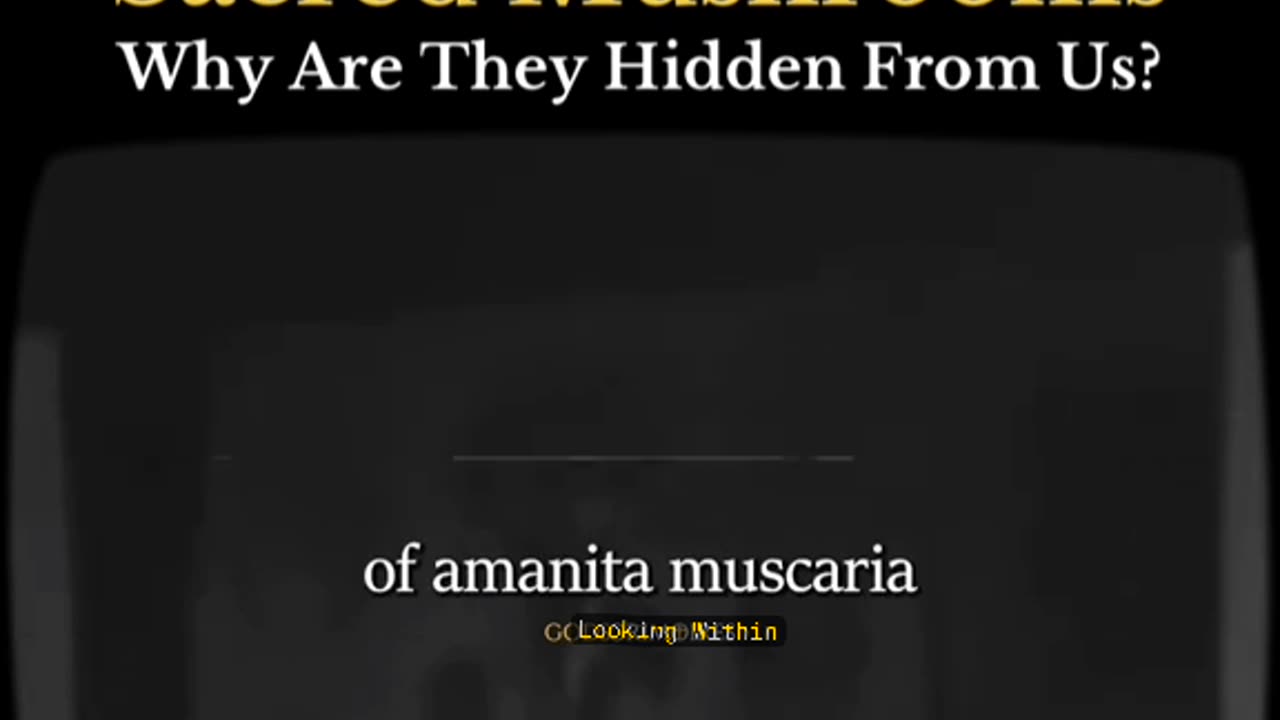 What are sacred mushrooms? Why are they hidden from the people?