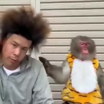 The girl's reaction to her new haircut