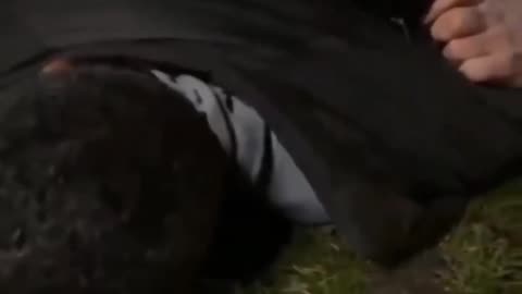 Yet another Islamic pedophiIe captured by British patriots.