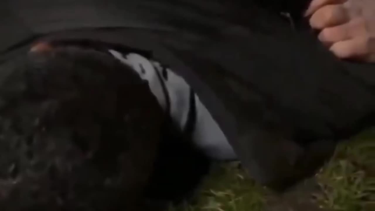 Yet another Islamic pedophiIe captured by British patriots.