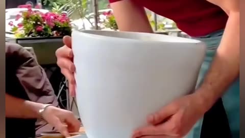 "Try Not to Laugh… I Failed!"