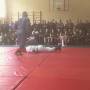 A Soldier Knocked Down an officer