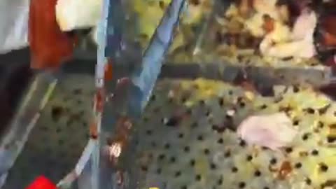 Chinese Street Food – Listen to That Crunchiness! 😋🔥