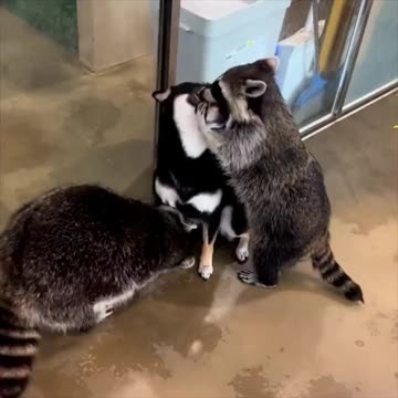 Making friends.. 😊