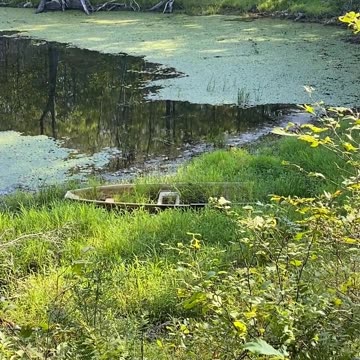 FOUND A RIDE OR LAWN ORNAMENT?