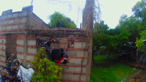 Lluvia tranquila y relajante en el patio