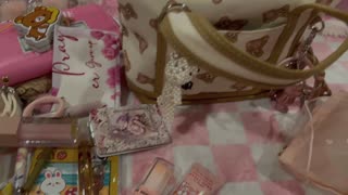 What's in my Teddy Bear Bag. 🧸🧸🧸