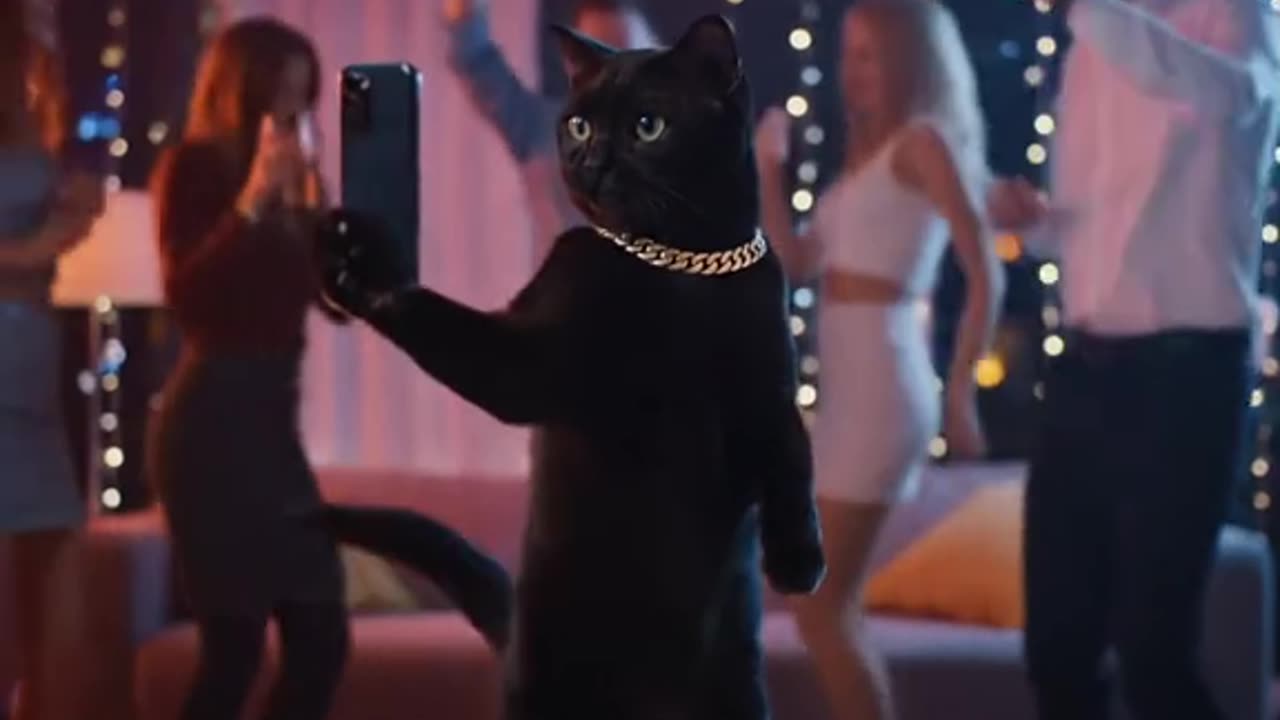 GETTIN FRISKYYY TNIGHT🕺🏼🐈‍⬛