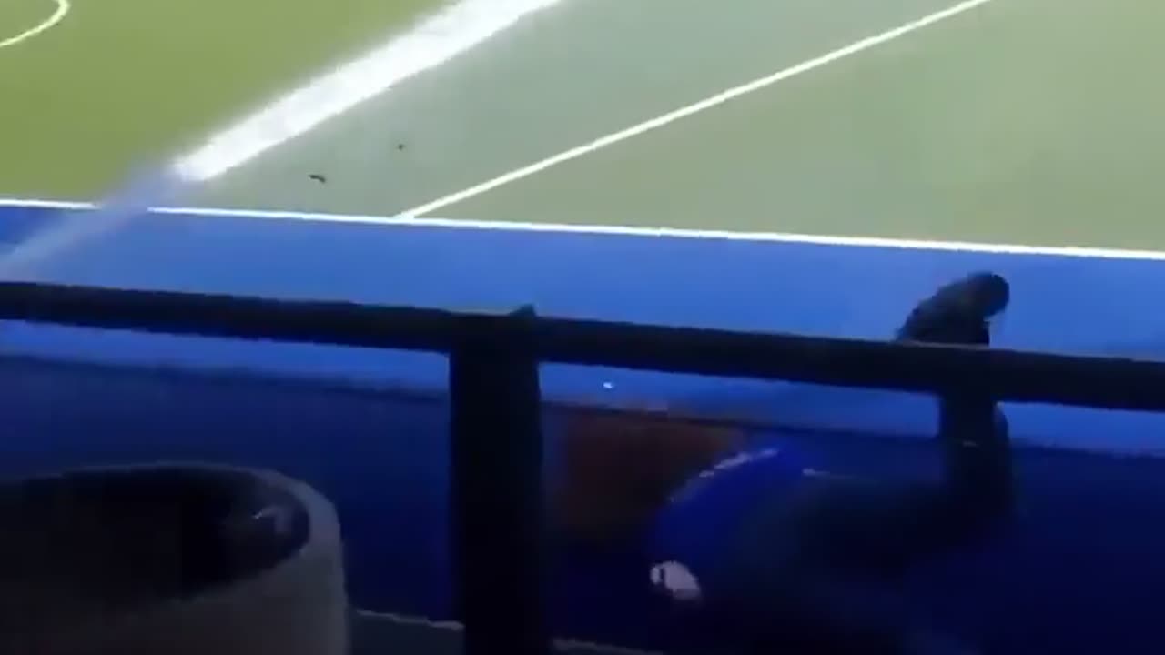 😂🏟️ They Thought They Could Take Over the Field! | FunFM