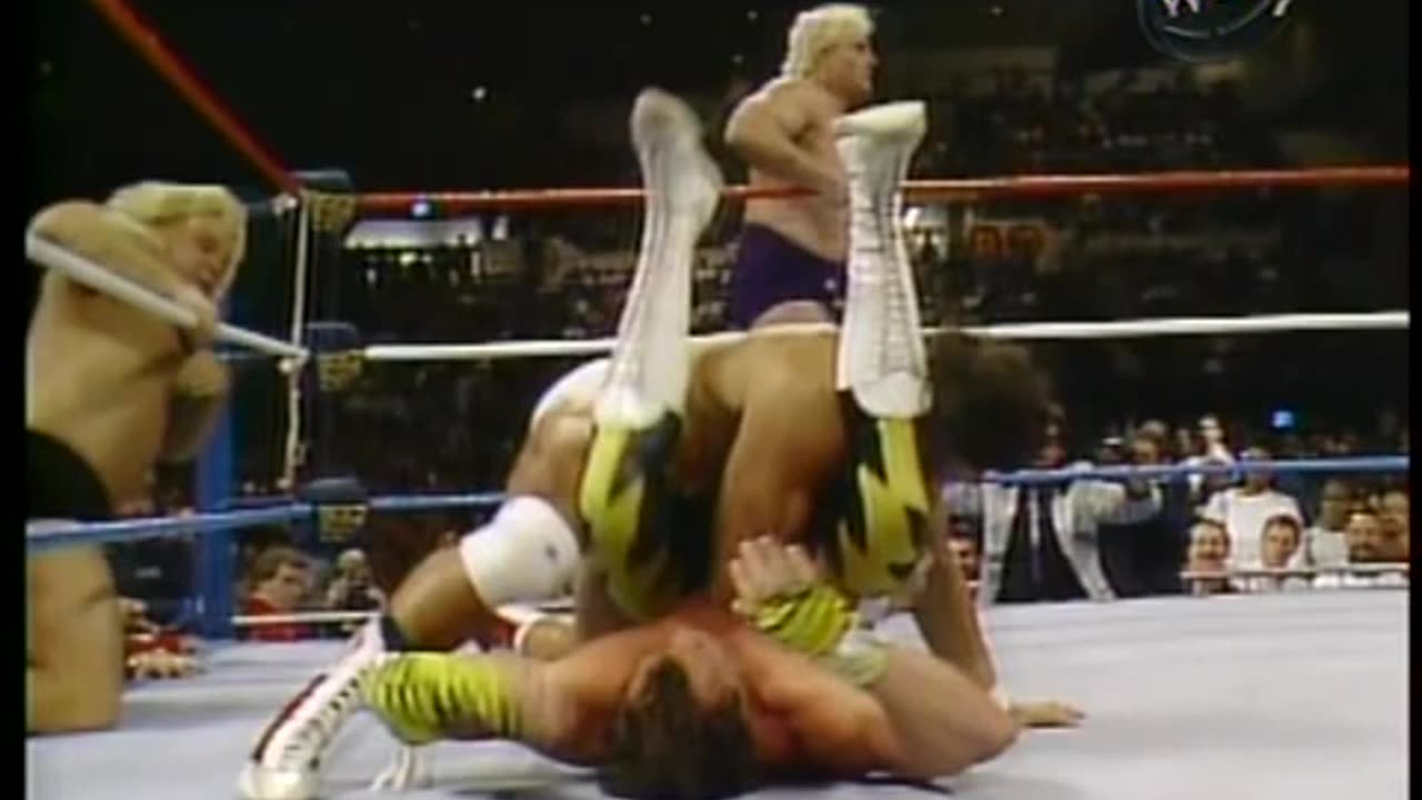 Brutus Beefcake in yellow lightning pants & Greg valentine vs. can am connection
