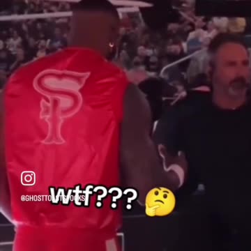 WWE Wrestler Glitches Out