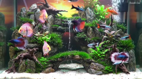 Aquascape Relaxation: Nature’s Underwater Symphony