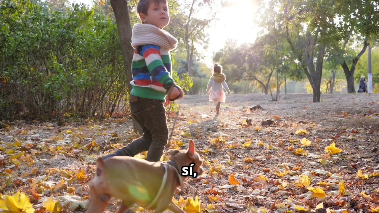 ¿Qué son los seres vivos? | Ciencias para niños de primaria