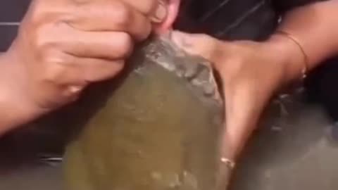 🐢😲 Woman Catches Turtle, But It Bites Her Lips!