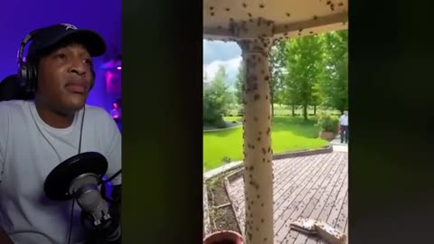 I Wasn't Ready For These Mysterious Videos!