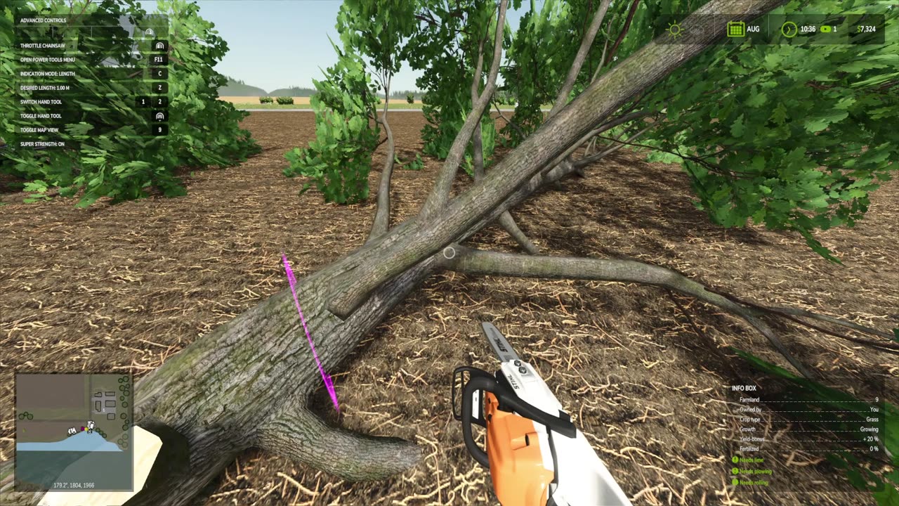 Clearing out the trees on the property and expanding the field to maximize the size of the field