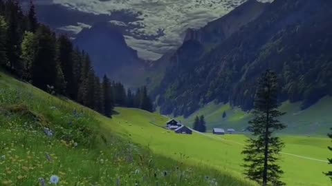 "A Walk in the Woods: Nature’s Quiet Beauty"