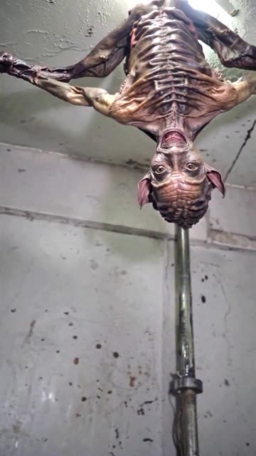 A horror house 📎 #youtubeshorts #shorts #horrorshorts #shortsfeed #horrorstories