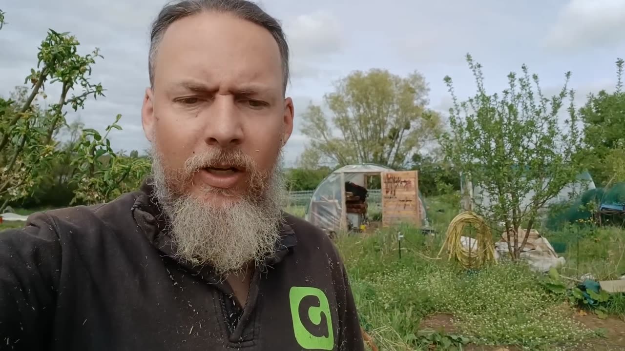 Réveillés ou endoctrinés Le vrai visage des gourous anti-système