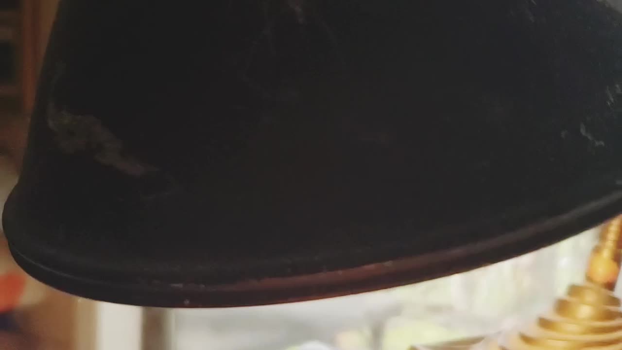An unusual mind talking to a spider.