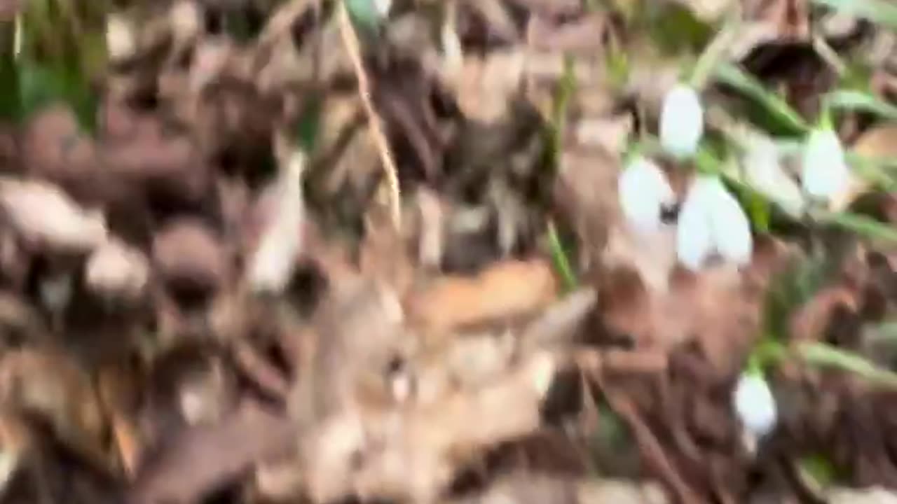 I want to do some serious work but all all he wants to do is play