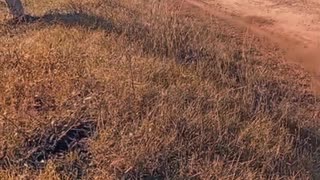 Algunas imágenes del Rally de Tacuarembó (31/05/2025)