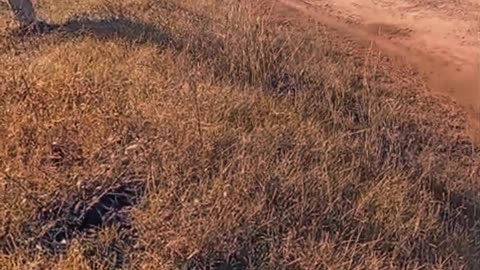 Algunas imágenes del Rally de Tacuarembó (31/05/2025)