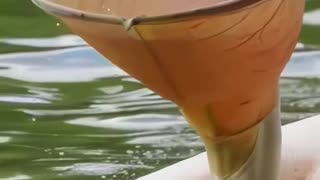 Viral