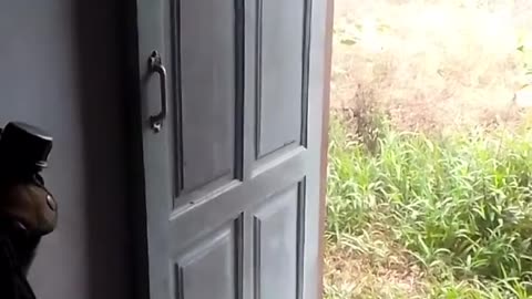 🔥💥 Myanmar War | Phoenix Special Warfare Force Engages Enemy Inside Structure | RCF