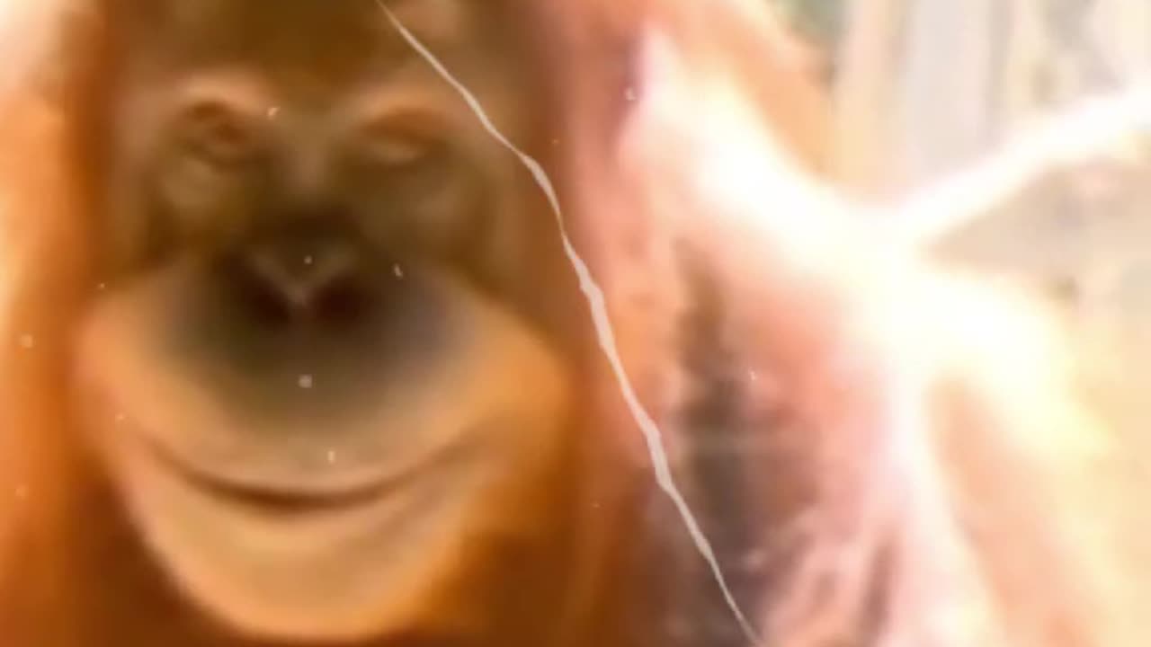 🤣😱 Pray He Never Escapes !!! 😱🤣 #orangutan #creepymonkey #zoo #fyp