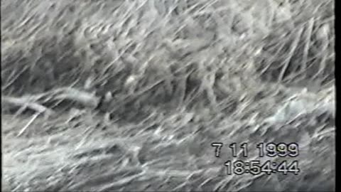 1999 11 7