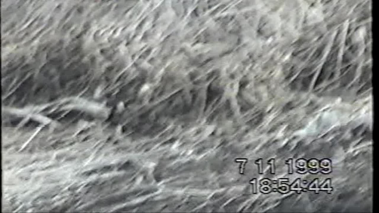 1999 11 7