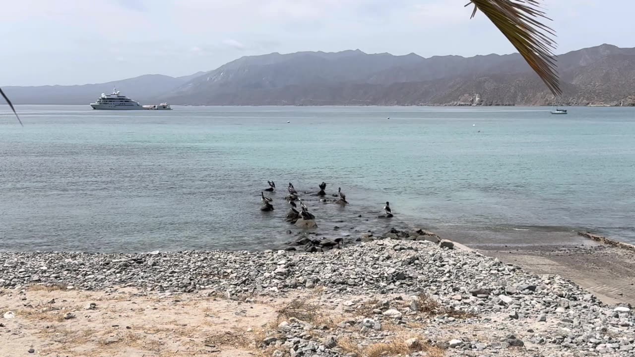 AI's Impact on Software Development and Business