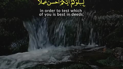 Why Were You Created? | Surah Al-Mulk 1–2 | Reflect Before It’s Too Late | Al Qamar Production
