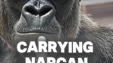 ROBOCOP 🆚 GEORGE DROYD