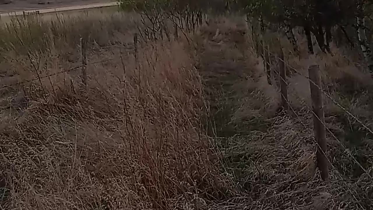 Lake on Land