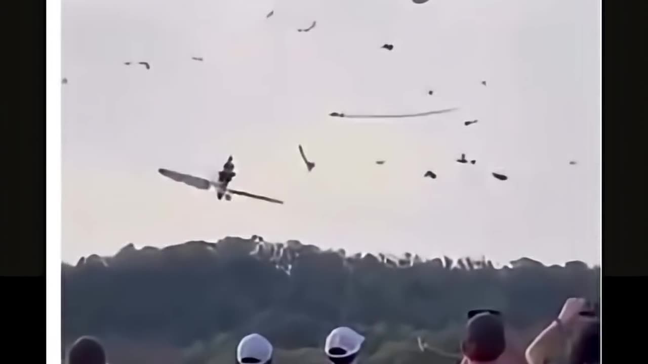 Game Boy Zone SHOCKER! Flying Fan Surprise!