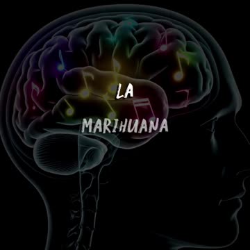 #neurociencia #cientificos #psicologia #cerebro