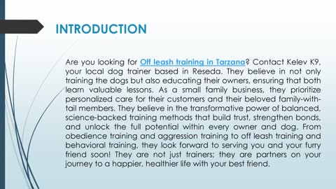 Are you looking for Off leash training in Tarzana?