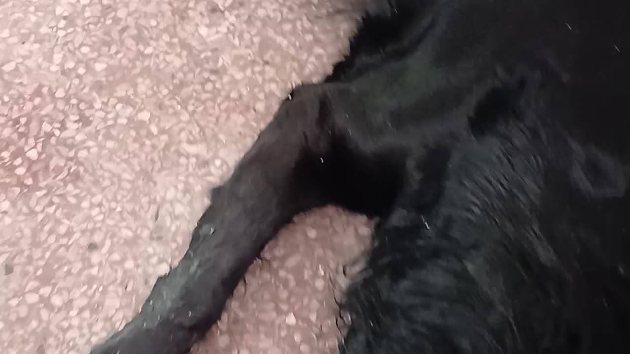 I filmed every last second of her even when dead I wanted every moment