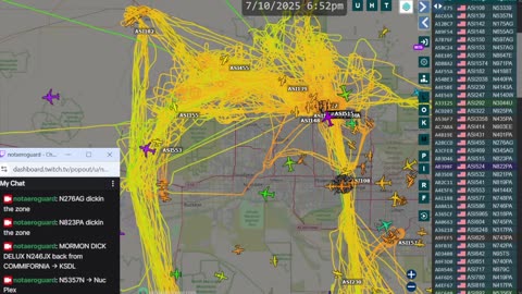 Bird Mafia Utah China afternoon activity on July 10th 2025 - no audio -