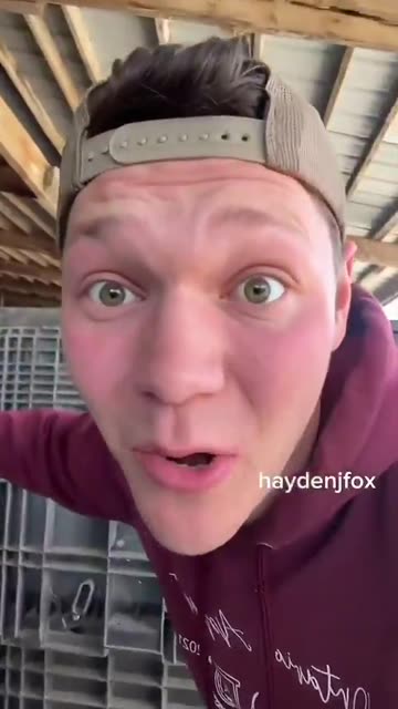 Seed companies can sue farmers for planting their