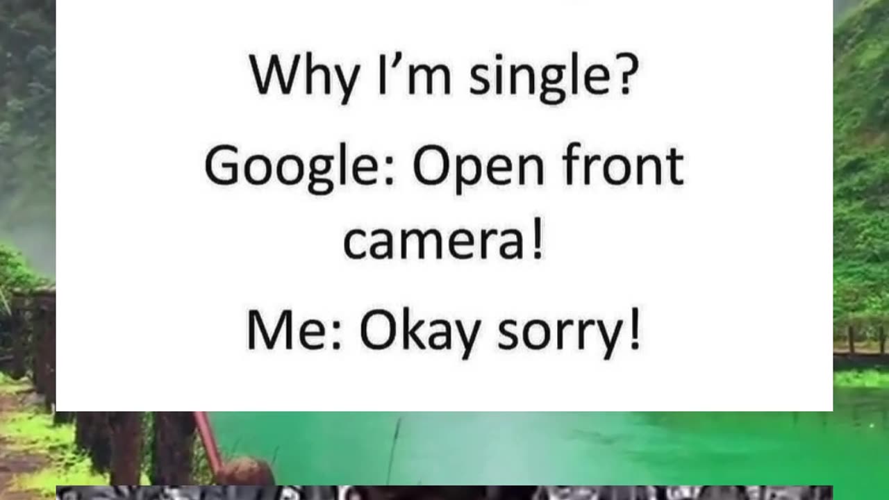 funny chat