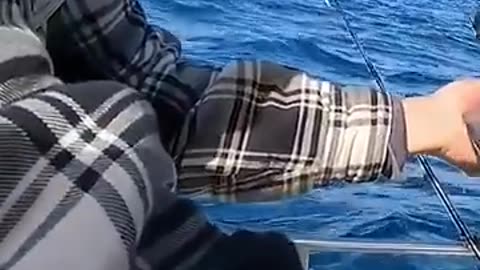 Amazing: 3 Rare Deep Sea Animals Caught While Fishing #shorts